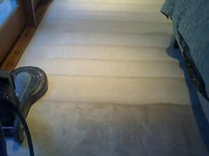 encino-carpet-cleaning